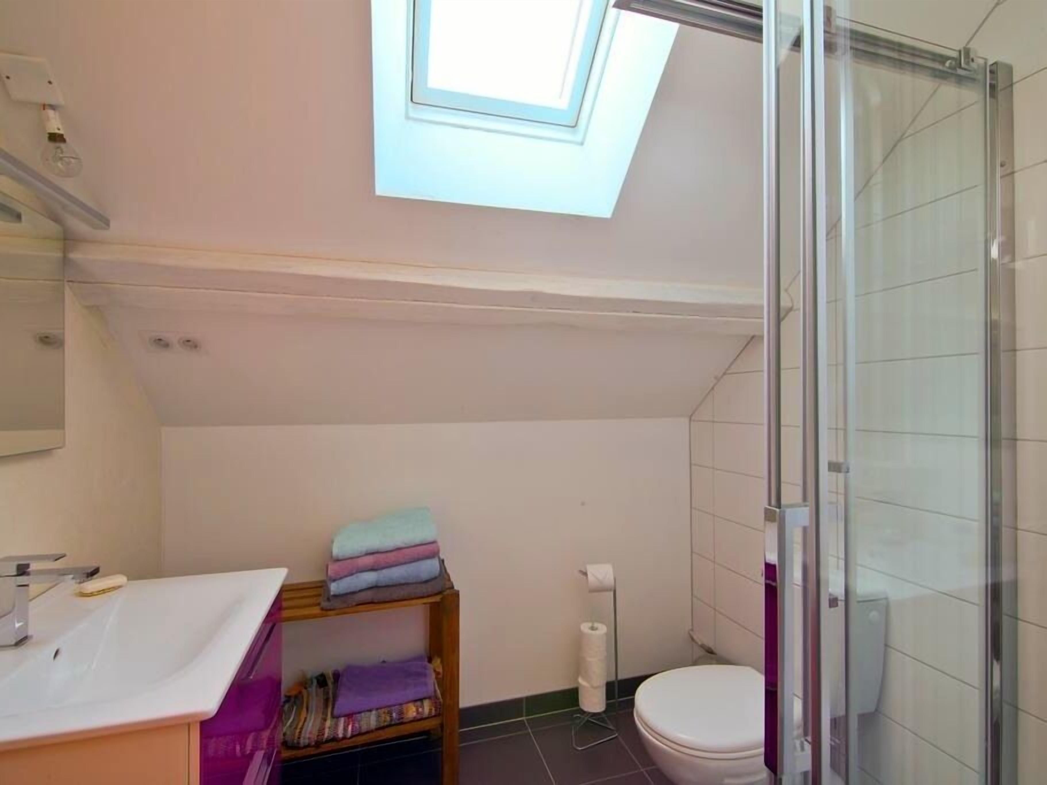 A small bathroom with a skylight, a toilet, and a shower.