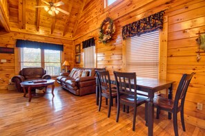 TV, fireplace, video game console, DVD player