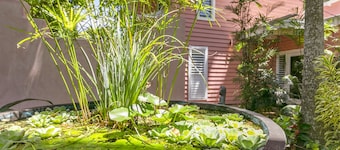 Dolphins Beach House - Hostel