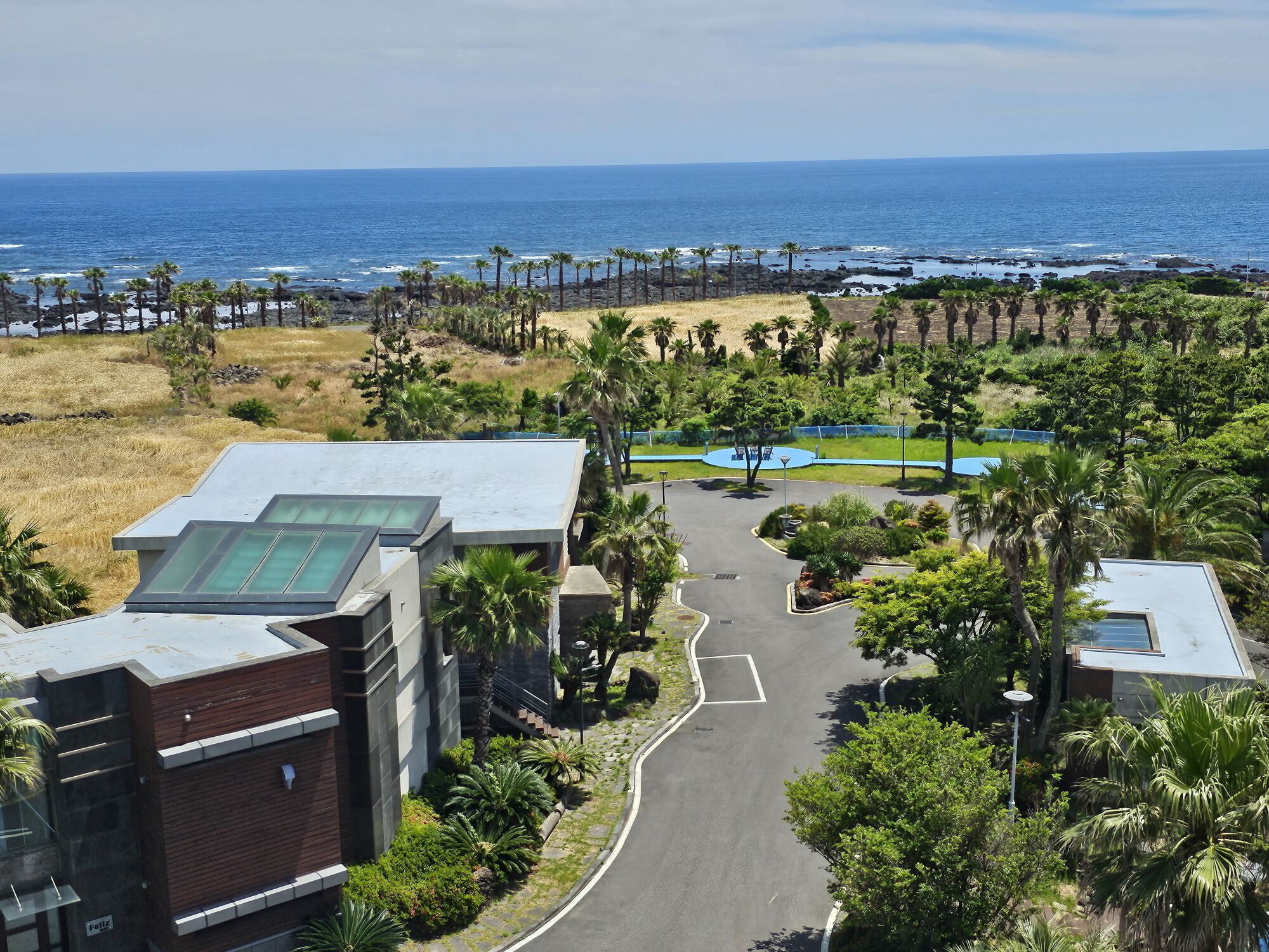A resort with a paved road leading to a pool area, surrounded by palm trees and a view of the ocean.