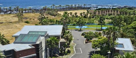A resort with a paved road leading to a pool area, surrounded by palm trees and a view of the ocean.