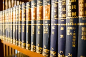 A row of books on a shelf. - Dan Dan House (Tongluo)
