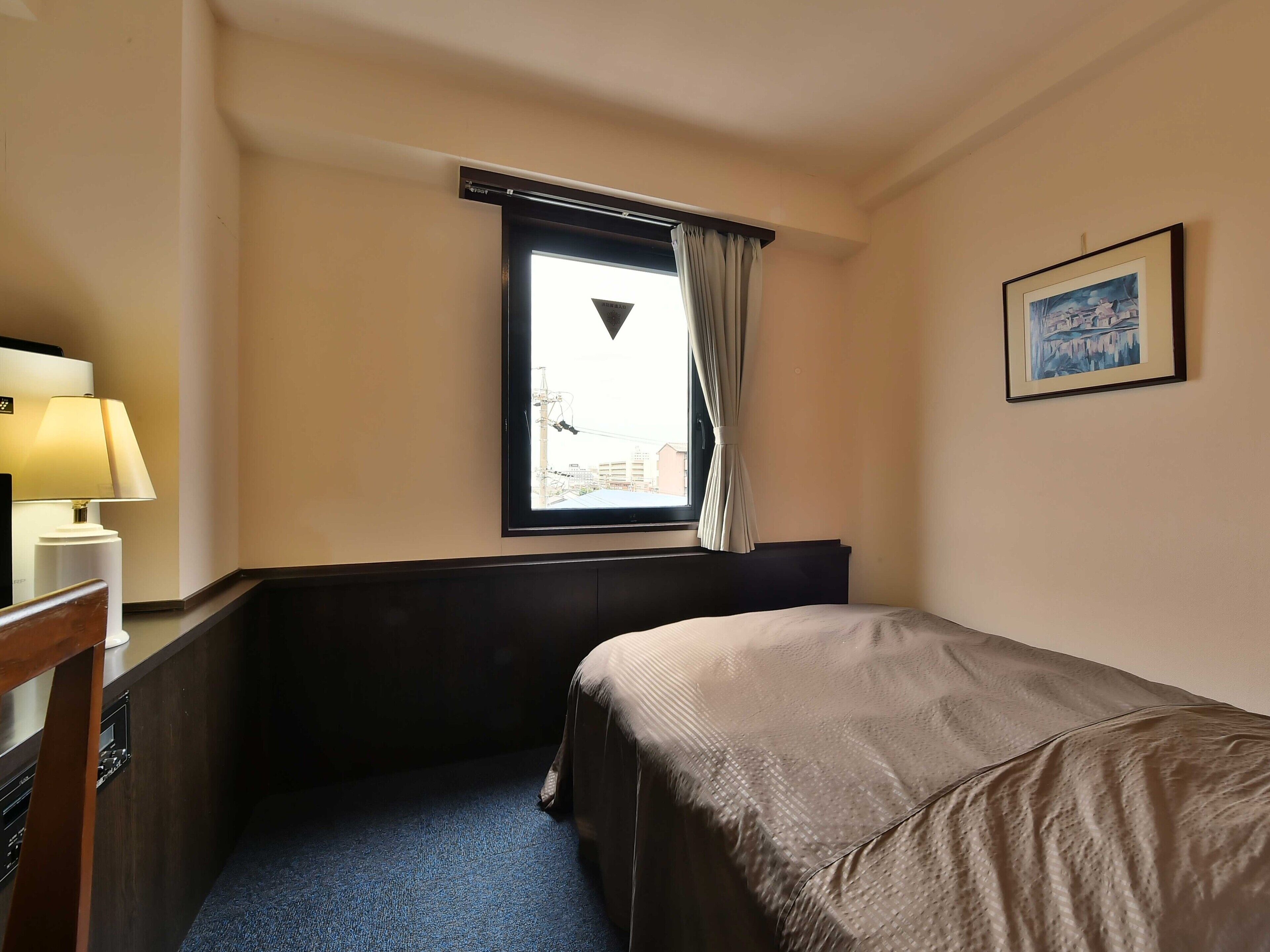 Single Room, Non Smoking | Free WiFi