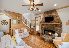 TV connectée, cheminée, jeux vidéo, lecteur de DVD