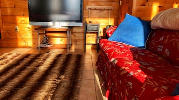 Smart TV, fireplace, Netflix, DVD player