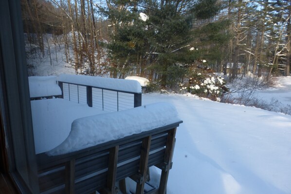 A wooden bench covered in snow, a snow-covered pathway, and a forested area with trees and bushes.