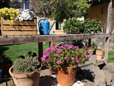 Il Pozzo e l'Ulivo - a slow living style -