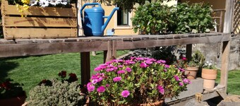 Il Pozzo e l'Ulivo - a slow living style -