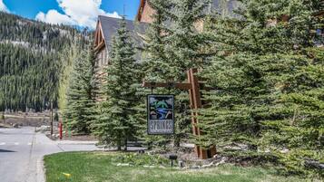 Condo, Multiple Beds, Mountain View (Springs 8870) | Property grounds