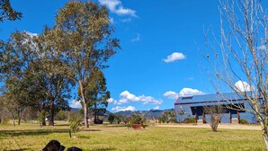 A grassy area with trees and a building with a blue roof. - Hunter Valley Rural Lodge - Quaint towns, State forests & Wineries to explore! (Glendon Brook)
