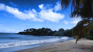 A beach with a sandy shore, a palm tree, and a forested island in the background. - Crew's Nest at Bayview Villas, Poolside Studio close to Grafton Beach (Black Rock, Pleasant Prospect)
