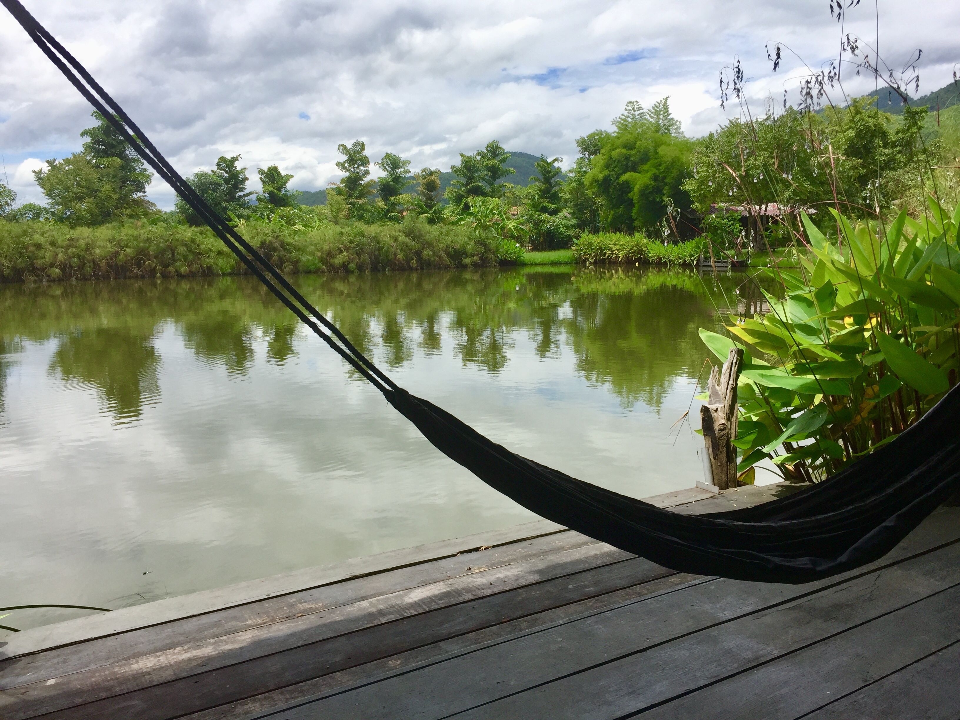 standard bungalow with fan (double bed) | view from room