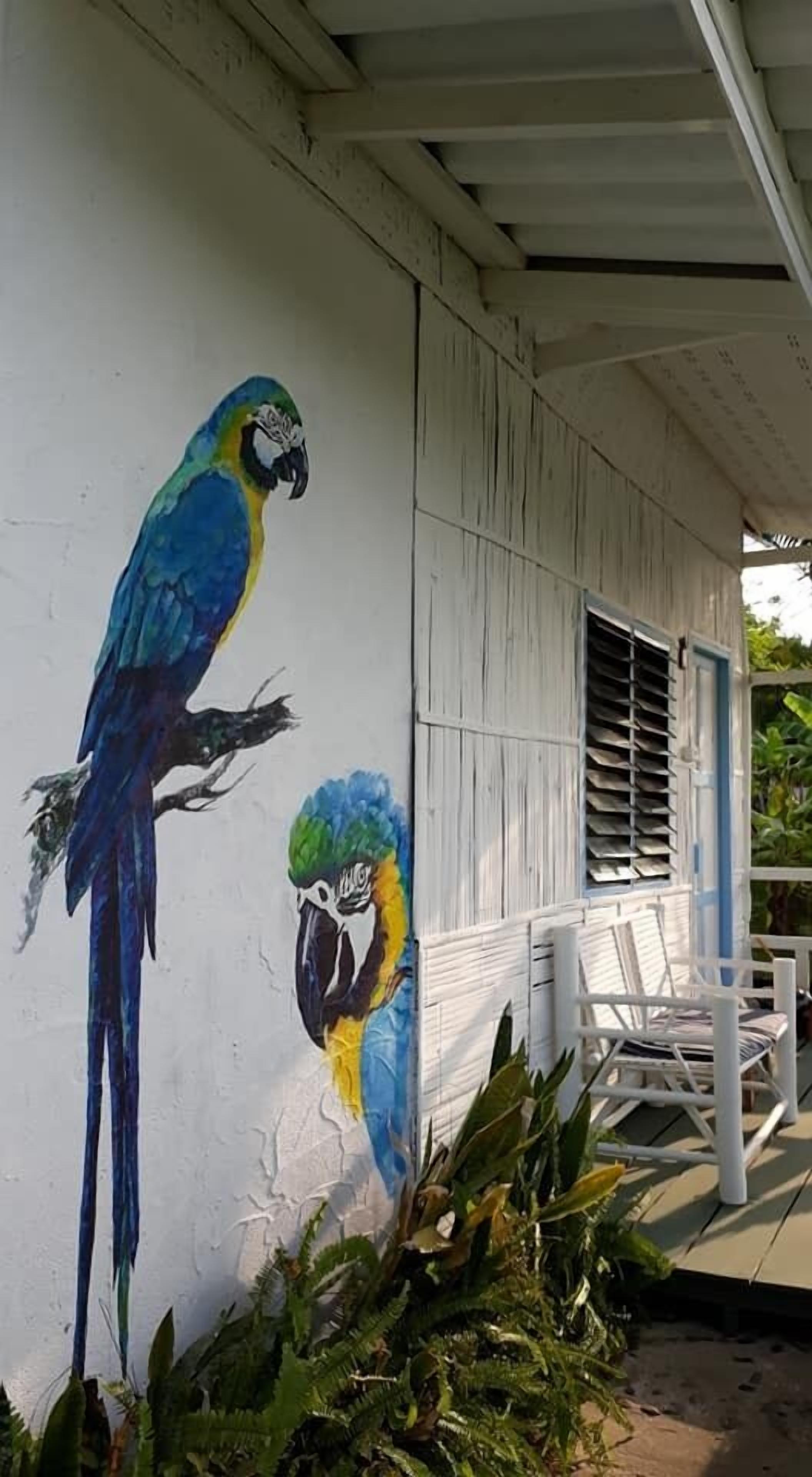 standard bungalow with fan (double bed) | free wifi