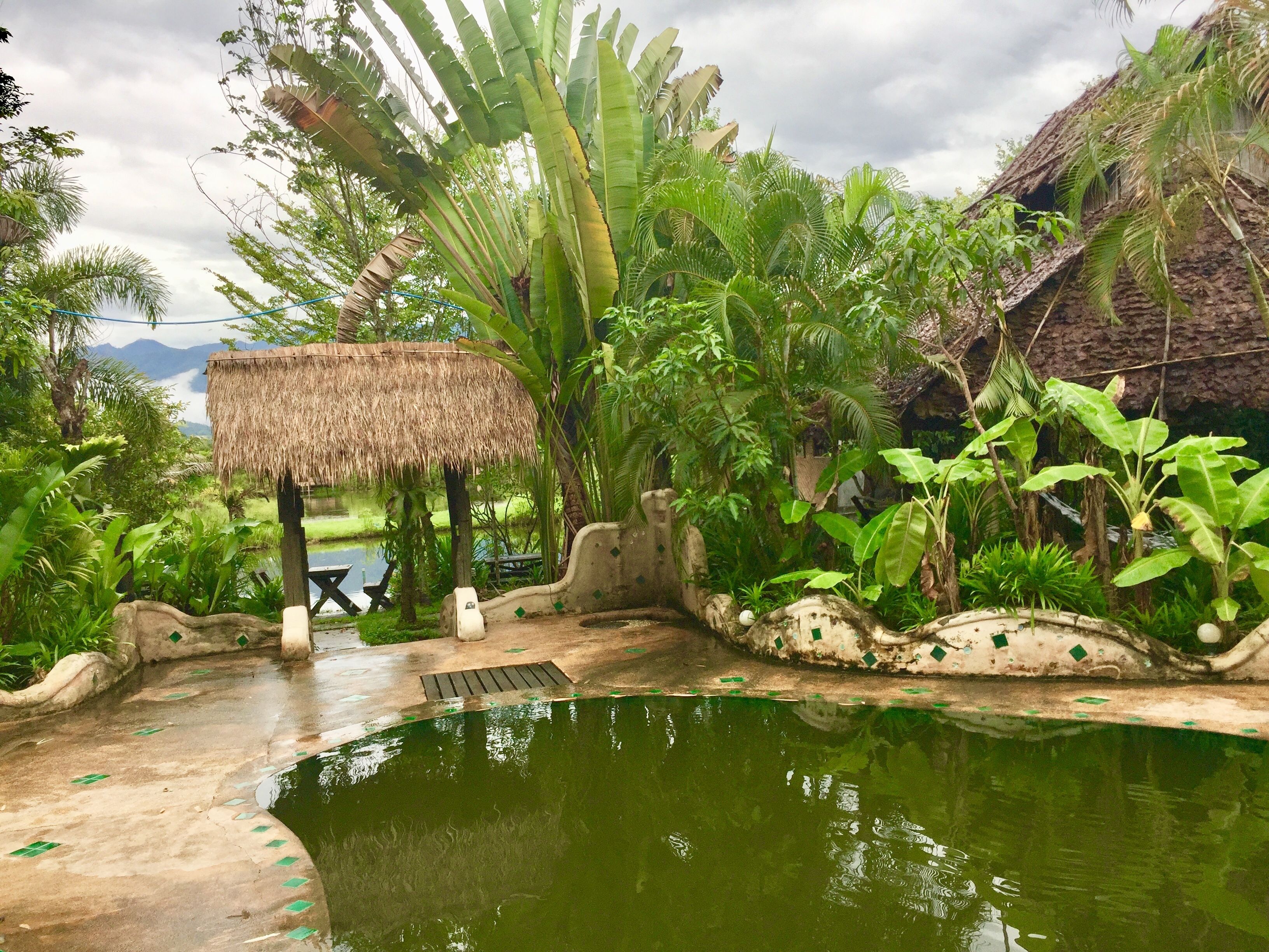 outdoor pool, a natural pool