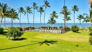 Ein gepflegter Golfplatz mit Poolbereich, umgeben von hohen Palmen und freiem Blick auf das Meer.