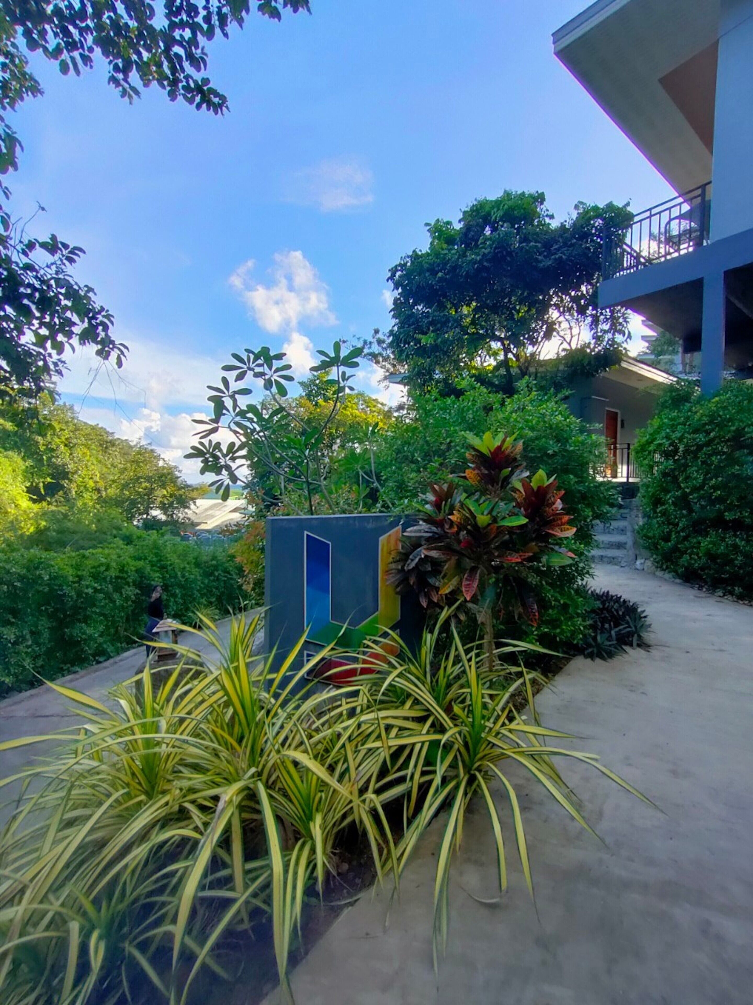 Un espace jardin avec un chemin menant à un bâtiment. On y trouve diverses plantes et arbustes, dont certains aux feuilles rouges. Un panneau bleu avec un symbole blanc est visible au centre.
