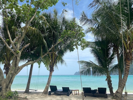 Vista desde la propiedad