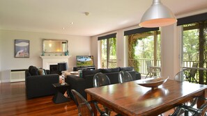 Televisie, een open haard en een dvd-speler