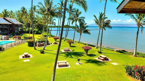 Un resort con piscina, palmeras y vistas al océano.