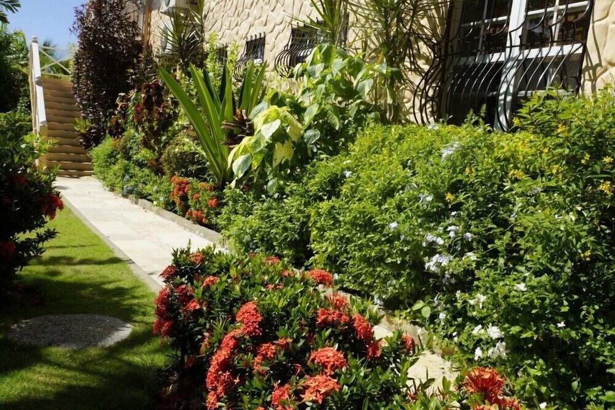 Image de profil de l’hôte