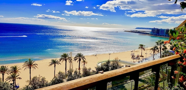 A beach with palm trees, a pool, and a view of the ocean.