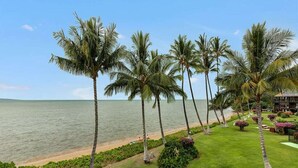 A beachfront property with a row of palm trees, a well-maintained lawn, and a building with a roof garden. - Island Inspired w/Loft, Large Lanai, Kitchen #334 (KAUNAKAKAI)