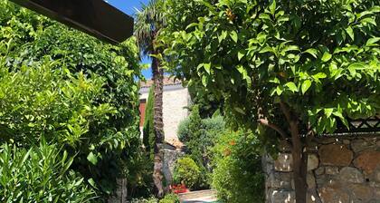 KATSANEIKO Stone built Mansion with Private POOL