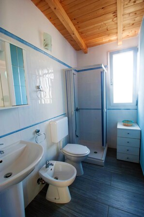 Shower, hair dryer, bidet, towels