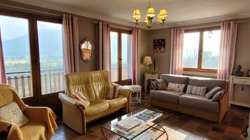 TV, fireplace, books