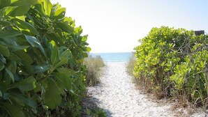 A sandy beach path flanked by dense green foliage leading to the ocean. - Gulfside Comfort – Beach Castle #4 by RVA (Longboat Key)