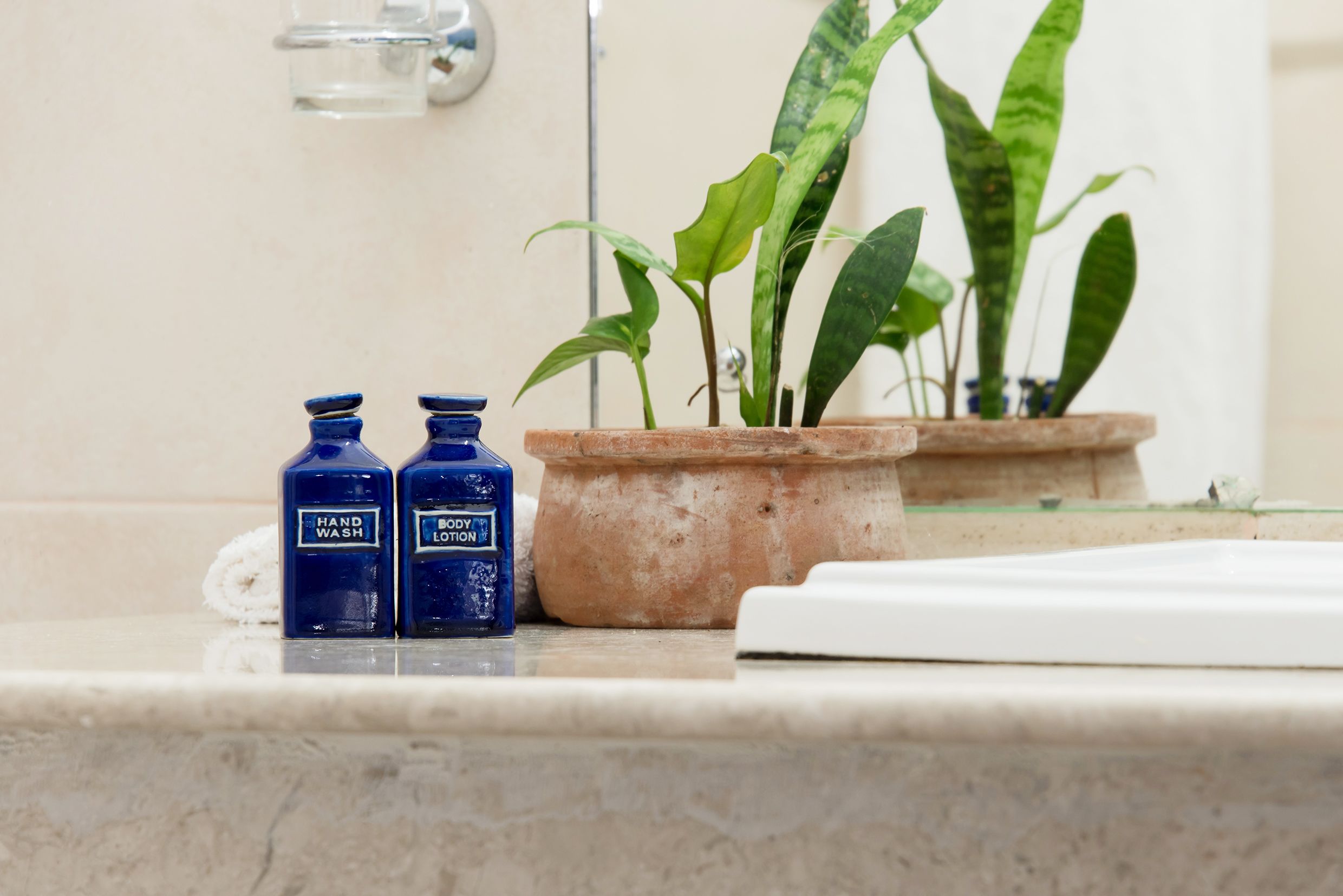 A bathroom with two blue bottles labeled "HAND WASH" and "BODY LOTION" on a marble countertop, a potted plant, and a white sink.