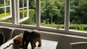 A room with a large window offering a view of a lush green landscape and mountains. - Ashburnham Estate (Rattota)
