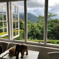 Una habitación con un amplio ventanal que ofrece vistas de un paisaje verde exuberante y montañas.