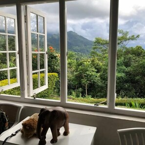 Family Room | 1 bedroom, free WiFi - Ashburnham Estate (Rattota)