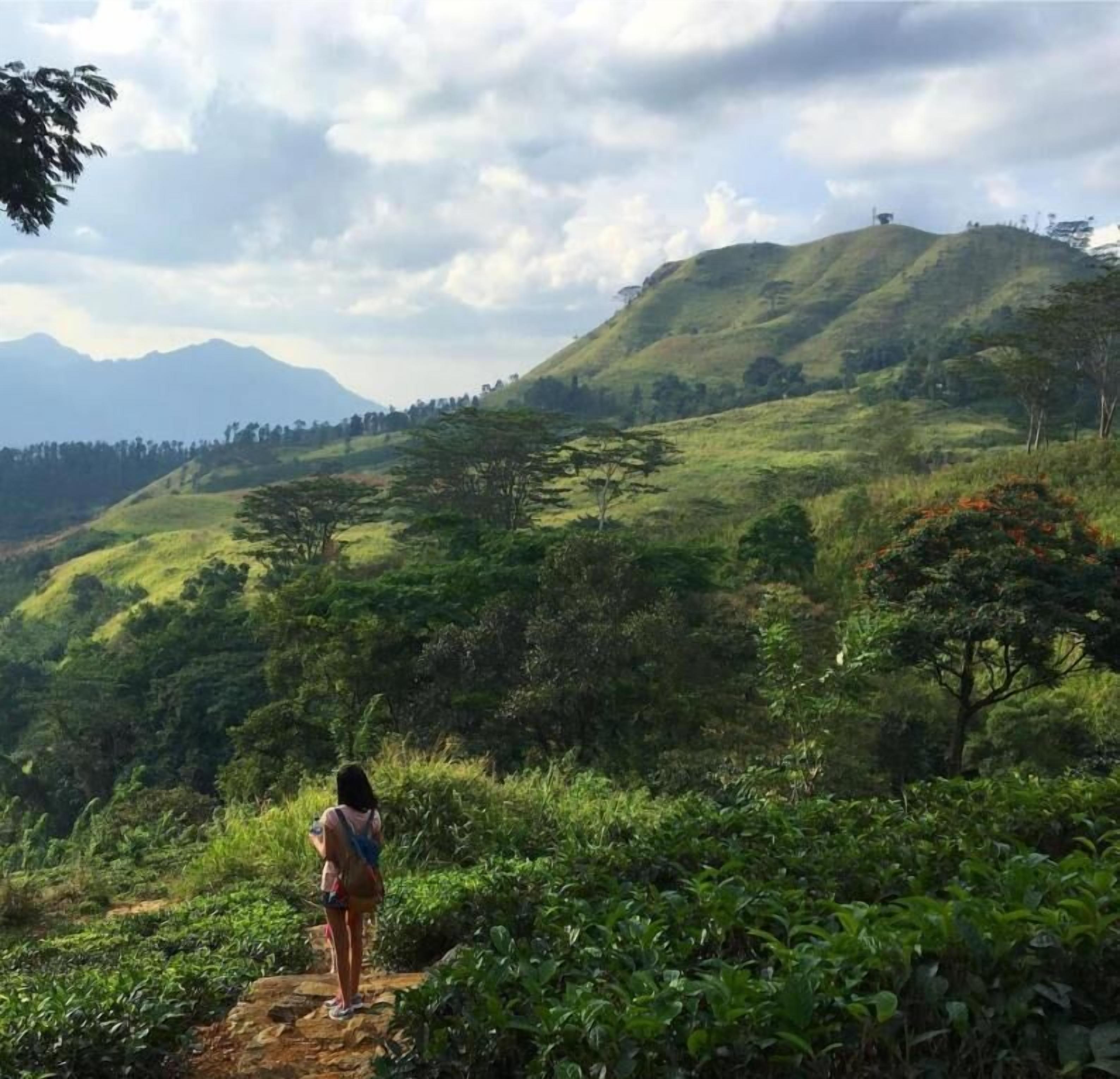 A person standing on a rocky path surrounded by lush greenery and hills.