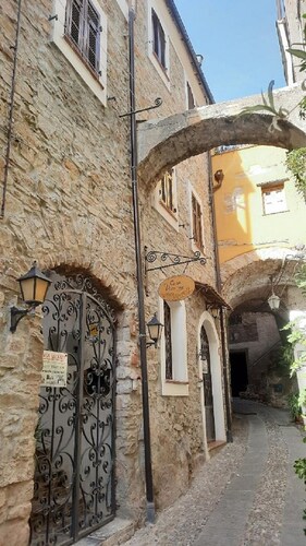 "TASTE OF PROVENCE" between Sea and Olive Trees.