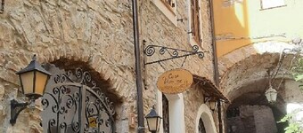 "TASTE OF PROVENCE" between Sea and Olive Trees.