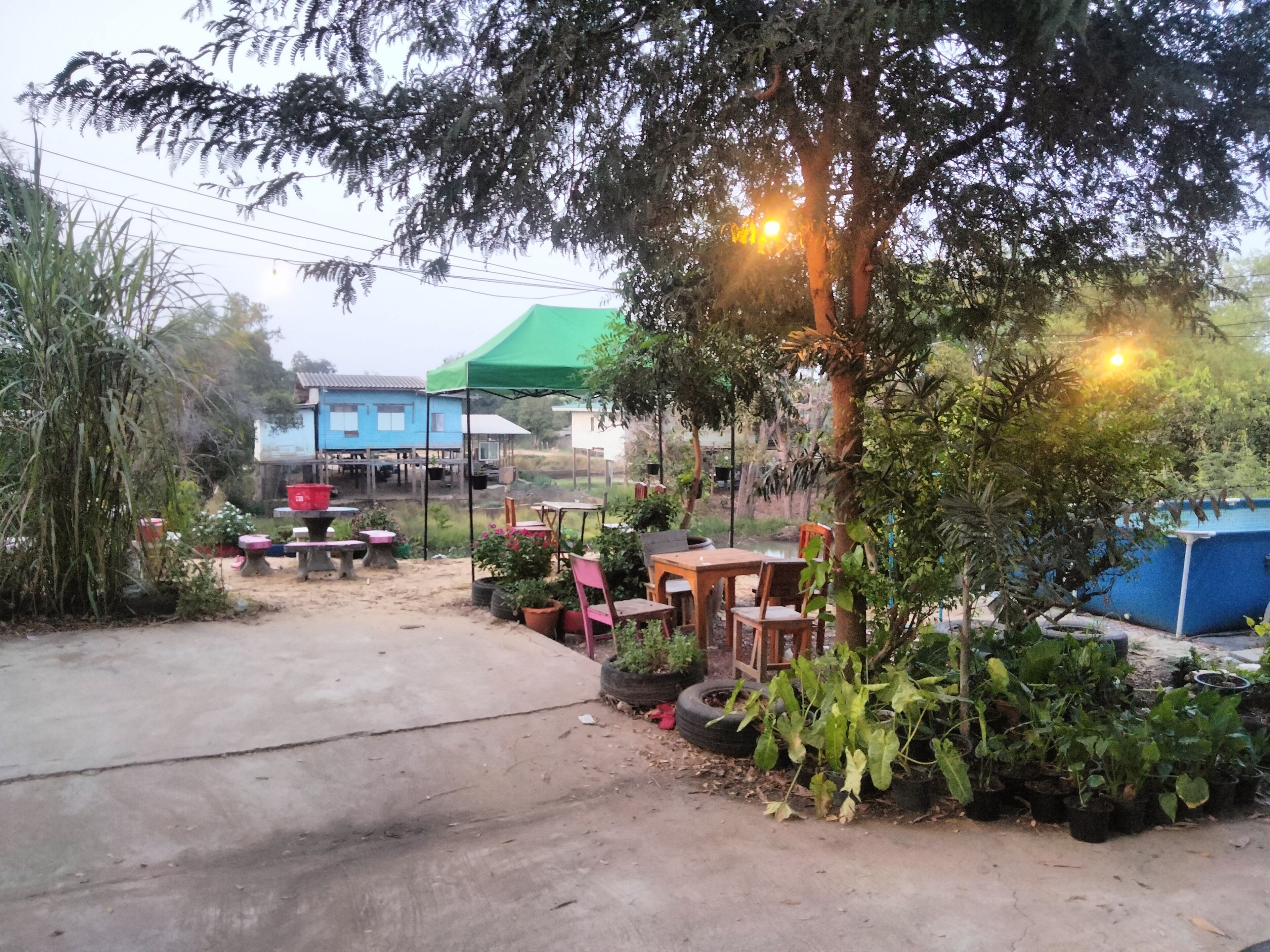 An outdoor patio area with tables and chairs, surrounded by potted plants and trees.