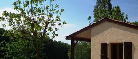 المنطقة المحيطة بالمنشأة