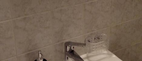 Ensemble douche/baignoire, sèche-cheveux, serviettes fournies