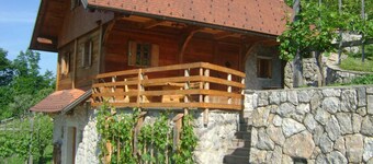 Holiday home on the vineyard, rustic, with a fireplace