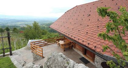 Holiday home by the vineyard, rustic, with fireplace
