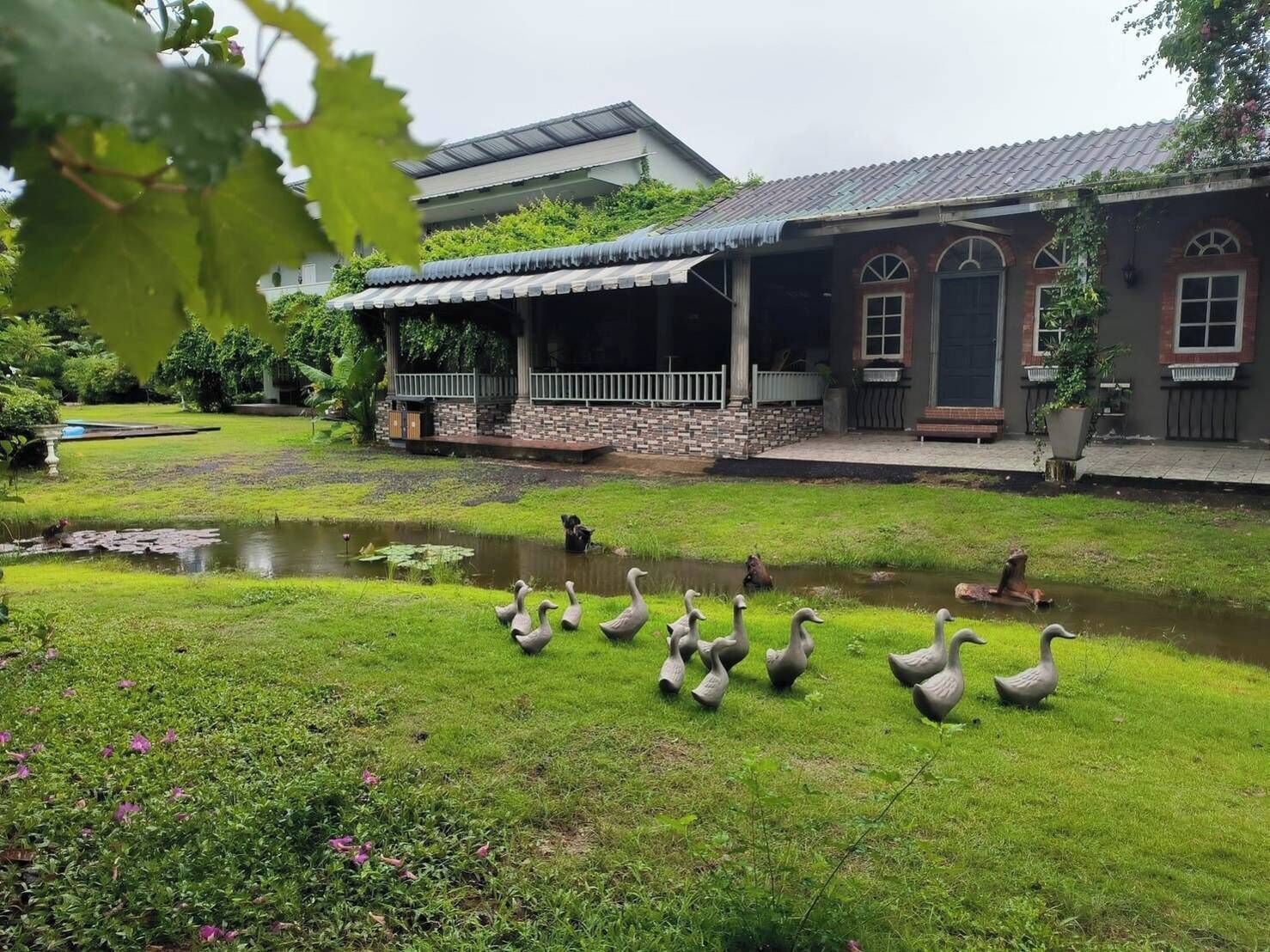 A house with a pond and ducks.