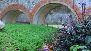 Een tuin met een betegelde muur, een klein waterpartij en diverse planten.
