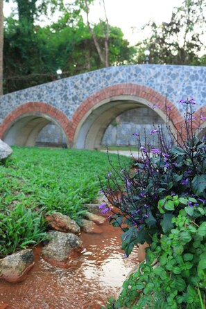 Terrein van de accommodatie