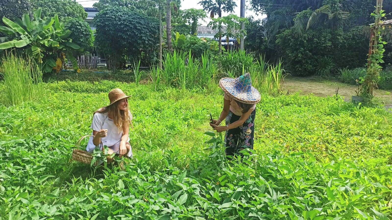 Alimentação e bebidas