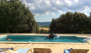 A swimming pool with a person on a water slide, surrounded by trees and a clear sky.