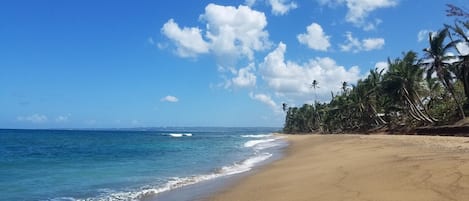 Beach | Beach nearby, sun-loungers, beach towels