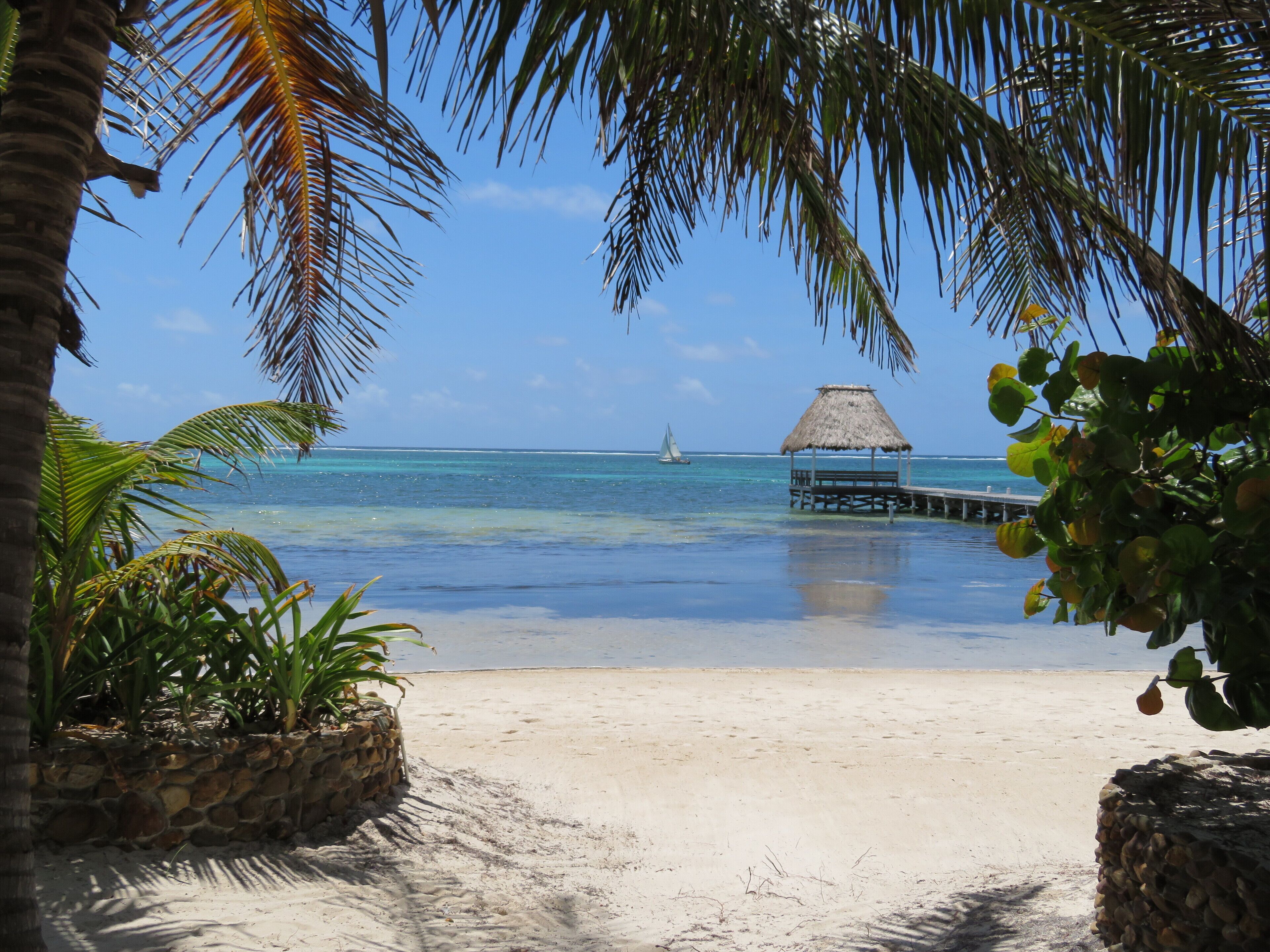 Plage, chaises longues, serviettes de plage