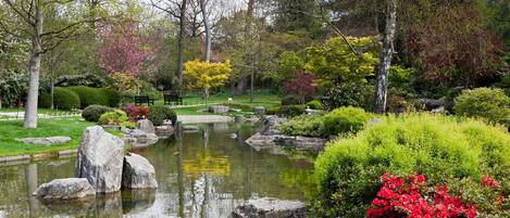 Overnatningsstedets område